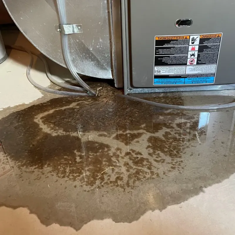 Pipe Burst and Leak Restoration in Appanoose County, IA