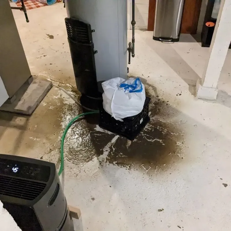 Sewage Backup Cleanup Service in Appanoose County, IA